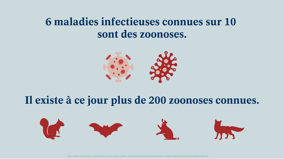 3 Choses à Savoir Sur Les Zoonoses | Boehringer Ingelheim